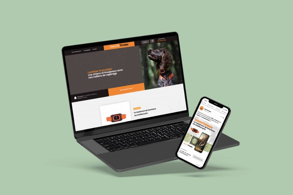 Aperçu du site web de Geovie Finder et de la campagne publicitaire facebook sur desktop et mobile.