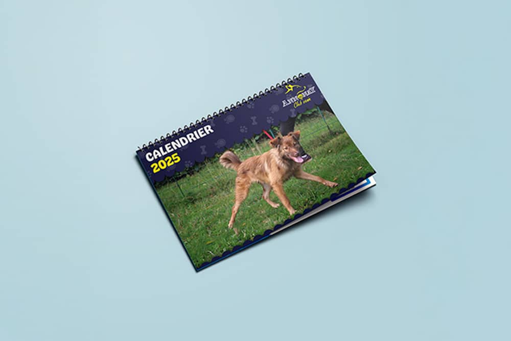 Couverture calendrier Annonay Club Canin