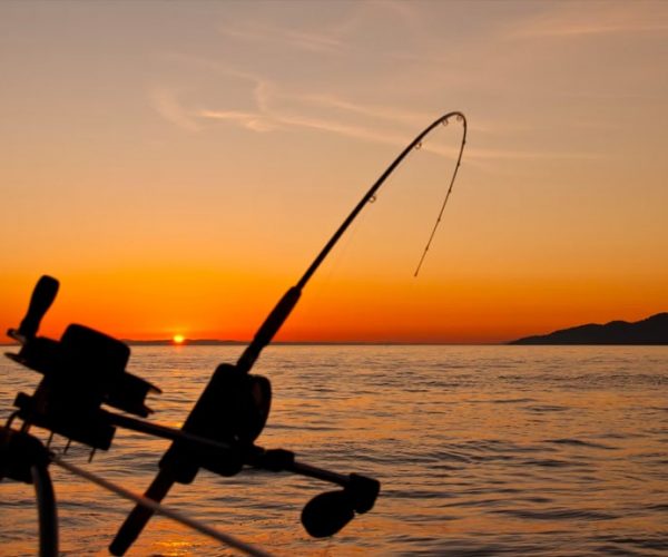 Fishing email